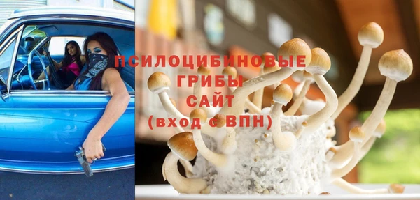 ALPHA-PVP Вяземский