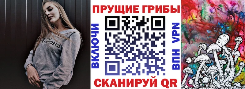 Галлюциногенные грибы Psilocybe  Жиздра 